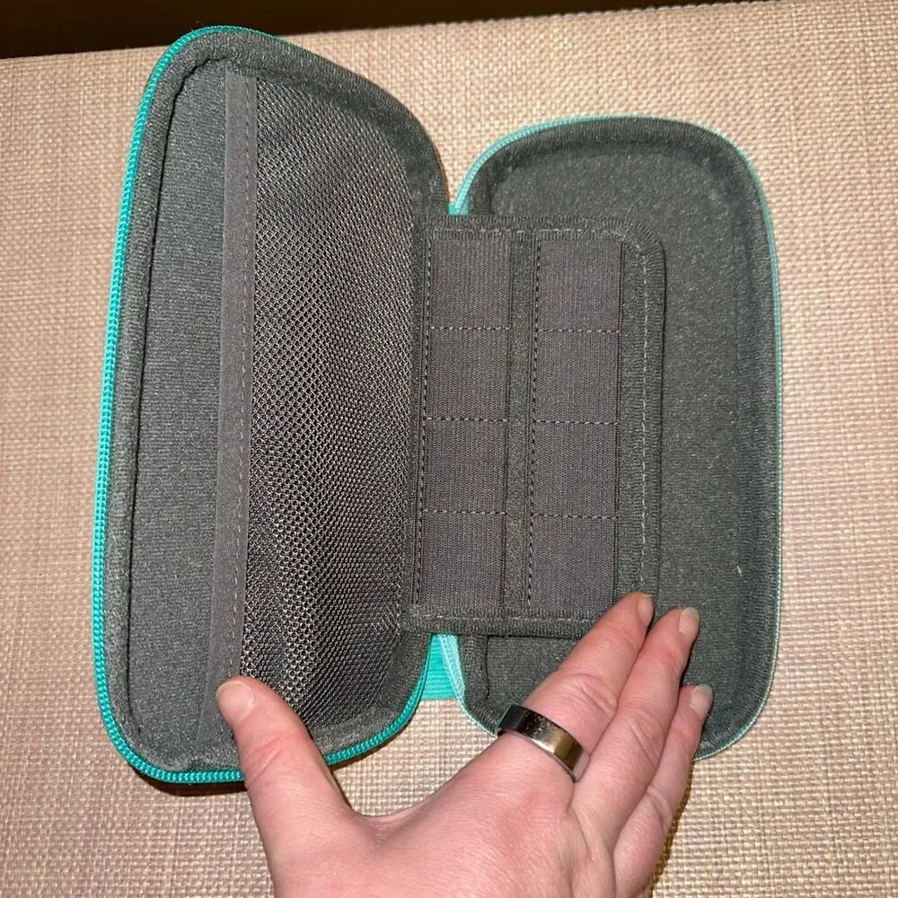 Nintendo case switch